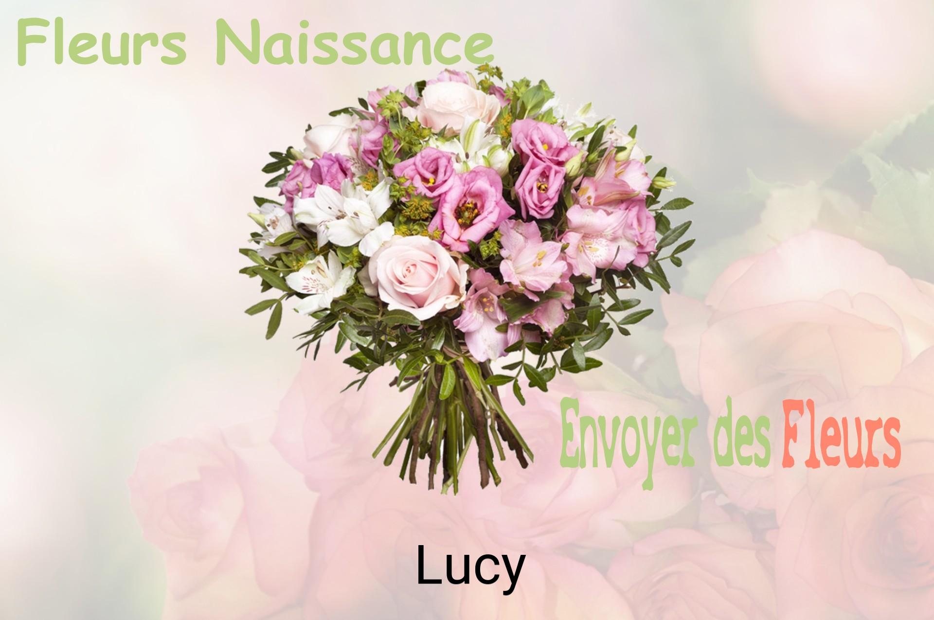 Bouquet de fleurs de naissance livré à Lucy